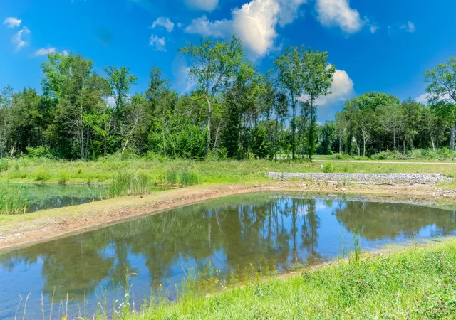 Homes for sale in Bell Buckle, TN | 3002 Stonehorn Dr, Bell Buckle, TN 37020 | MLS# 3246522
