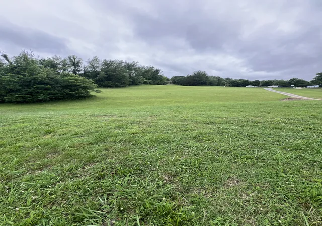 Homes for sale in Chapmansboro, TN | 1142 John Shores Rd, Chapmansboro, TN 37035 | MLS# 3244366