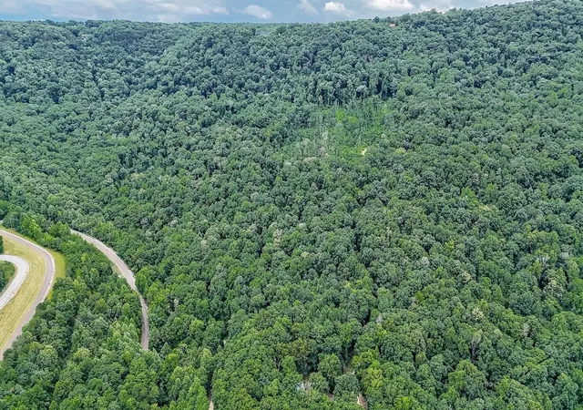 2nd image of 701 Cherokee Ridge Road, Pikeville, TN 37367 | MLS# 3304337