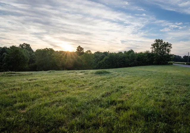 Homes for sale in Primm Springs, TN | 7810 W Lick Creek Rd, Primm Springs, TN 38476 | MLS# 3244576