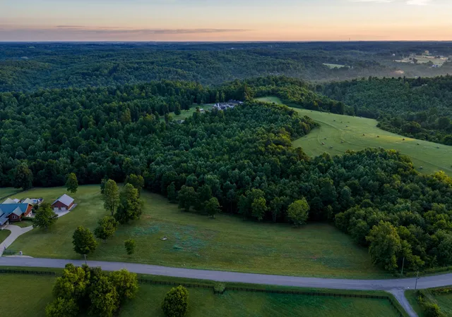 Homes for sale in Primm Springs, TN | 7810 W Lick Creek Rd, Primm Springs, TN 38476 | MLS# 3244576