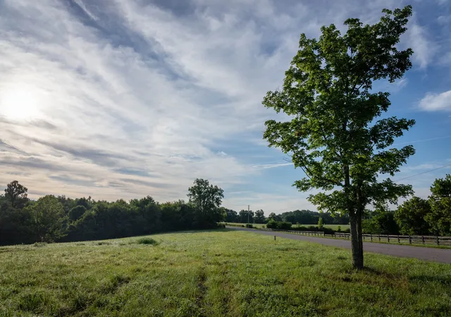 Homes for sale in Primm Springs, TN | 7810 W Lick Creek Rd, Primm Springs, TN 38476 | MLS# 3244576