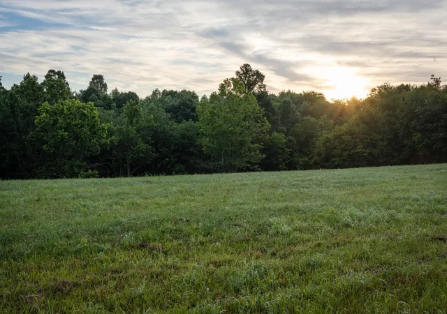 Homes for sale in Primm Springs, TN | 7810 W Lick Creek Rd, Primm Springs, TN 38476 | MLS# 3244576