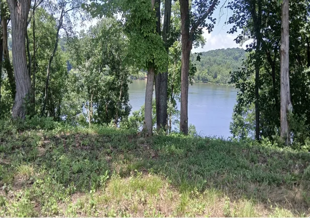 3rd image of 2061 Mockingbird Ln, Loudon, TN 37774 | MLS# 3244444