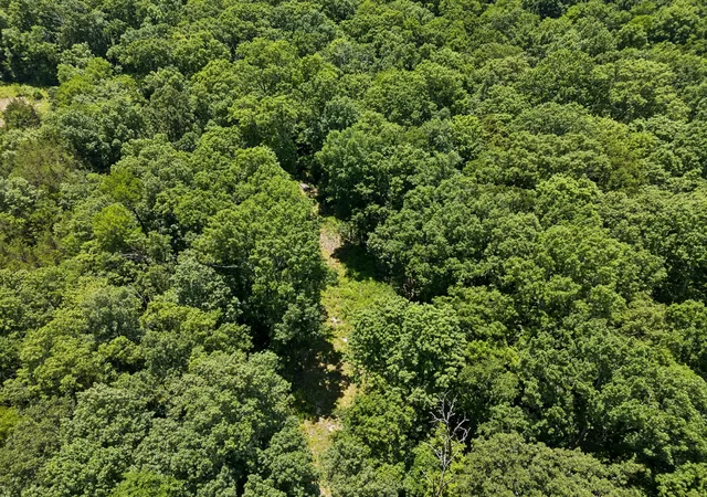 15th image of 9346 Christiana Fosterville Rd, Christiana, TN 37037 | MLS# 3245907