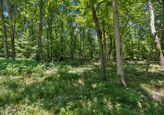 3rd image of 9346 Christiana Fosterville Rd, Christiana, TN 37037 | MLS# 3245907