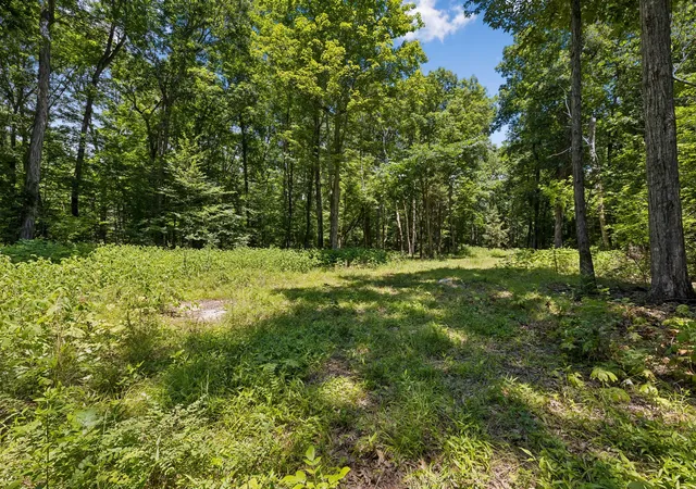 4th image of 9346 Christiana Fosterville Rd, Christiana, TN 37037 | MLS# 3245907