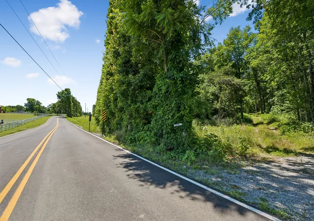 5th image of 9346 Christiana Fosterville Rd, Christiana, TN 37037 | MLS# 3245907