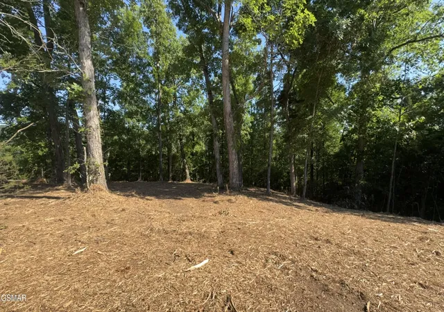23rd image of 13 Rupert Dr, Dandridge, TN 37725 | MLS# 3270168