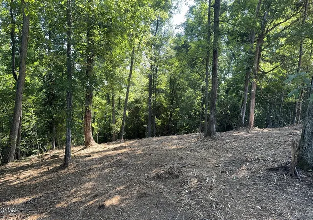 5th image of 13 Rupert Dr, Dandridge, TN 37725 | MLS# 3270168