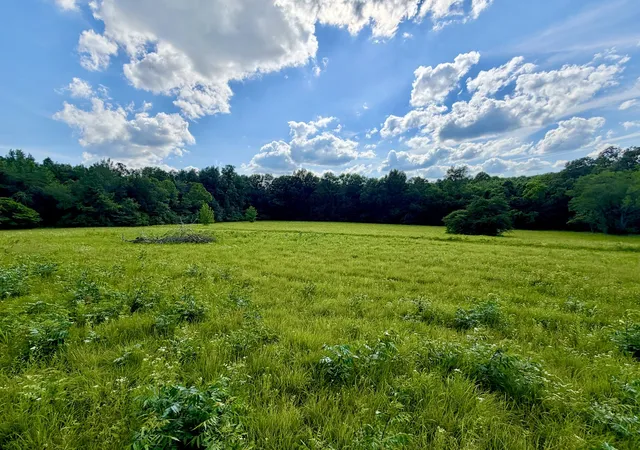 Homes for sale in Fairview, TN | 1251 Hwy 96 N, Fairview, TN 37062 | MLS# 3244503