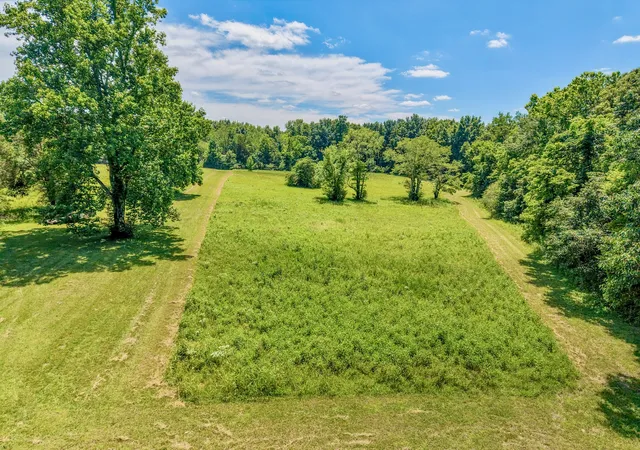 Photo 2 of Single family home for sale at 1251 Highway 96 N, Fairview, TN 37062 | MLS# 3244503 | Listing updated on 2026-07-14