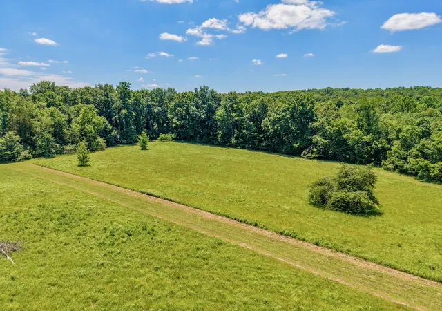 Homes for sale in Fairview, TN | 1251 Hwy 96 N, Fairview, TN 37062 | MLS# 3244503