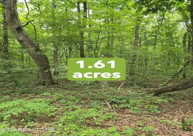 1st image of 3 W Wind Way, Crossville, TN 38572 | MLS# 3523678
