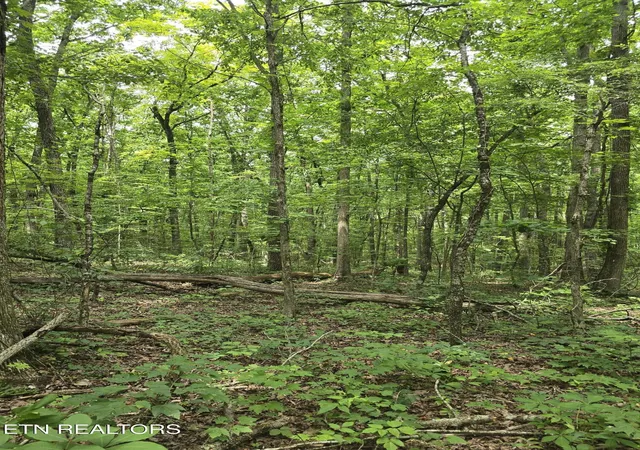 9th image of 3 W Wind Way, Crossville, TN 38572 | MLS# 3523678