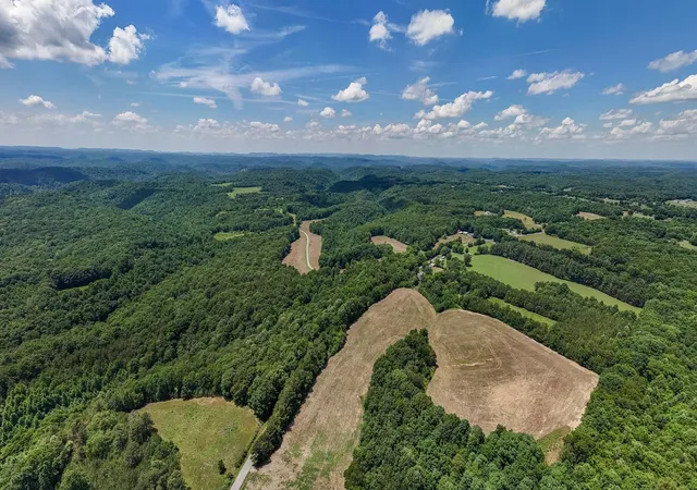 Homes for sale in Liberty, TN | 3772 Pea Ridge Rd, Liberty, TN 37095 | MLS# 3246781