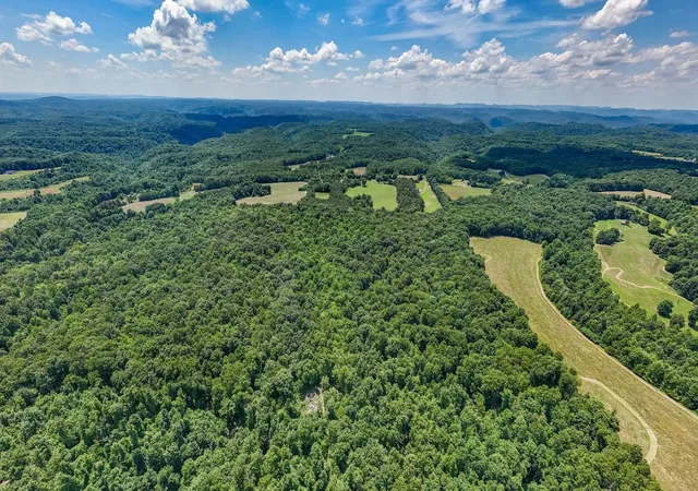 Homes for sale in Liberty, TN | 3772 Pea Ridge Rd, Liberty, TN 37095 | MLS# 3246781