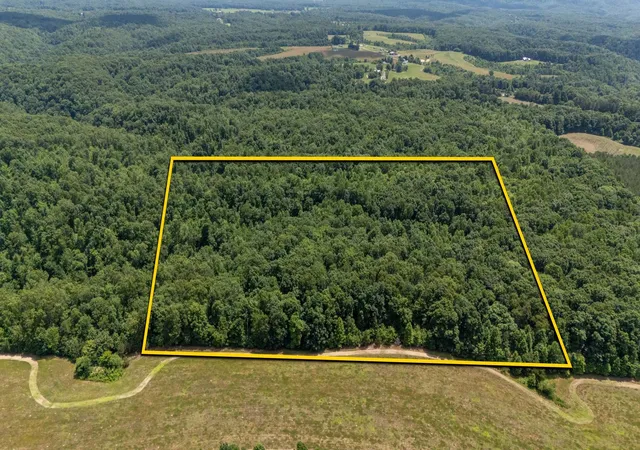 Homes for sale in Liberty, TN | 0 Pea Ridge Rd, Liberty, TN 37095 | MLS# 3246782