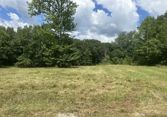 Homes for sale in Eva, TN | 760 Chestnut Hill Rd, Eva, TN 38333 | MLS# 3244606