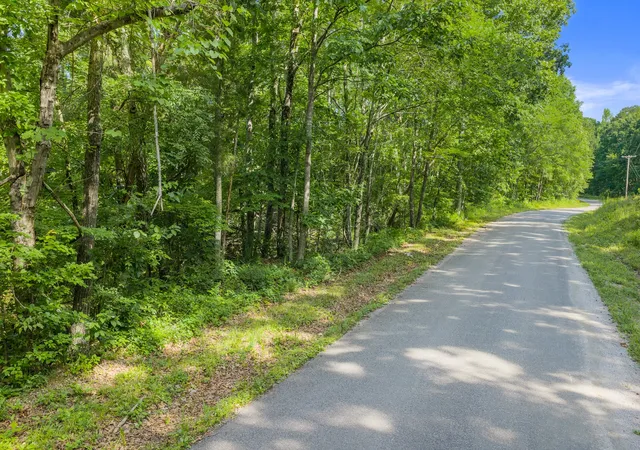 Homes for sale in Holladay, TN | 0 Coxburg Rd N, Holladay, TN 38341 | MLS# 3244657