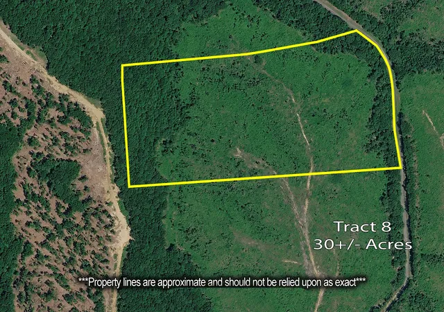 Homes for sale in Holladay, TN | 0 Coxburg Rd N, Holladay, TN 38341 | MLS# 3244657