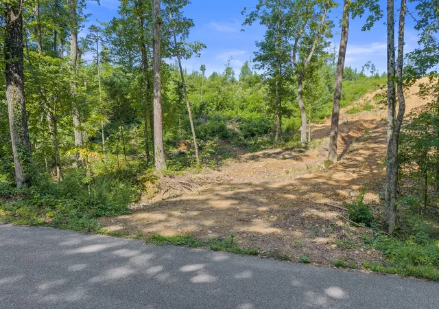 Homes for sale in Holladay, TN | 0 Coxburg Rd N, Holladay, TN 38341 | MLS# 3244657
