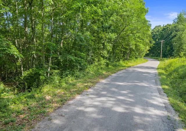 Homes for sale in Holladay, TN | 0 Coxburg Rd N, Holladay, TN 38341 | MLS# 3244657
