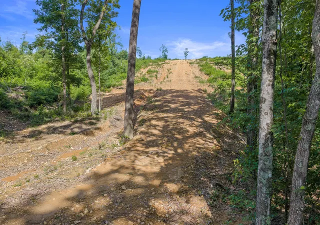 Homes for sale in Holladay, TN | 0 Coxburg Rd N, Holladay, TN 38341 | MLS# 3244657