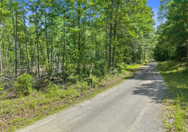 Homes for sale in Holladay, TN | 0 Rockport Mcillwain Rd, Holladay, TN 38341 | MLS# 3244681