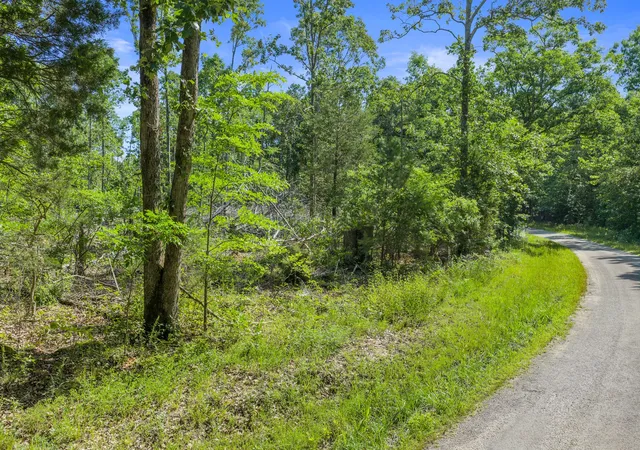 Homes for sale in Holladay, TN | 0 Rockport Mcillwain Rd, Holladay, TN 38341 | MLS# 3244681