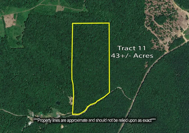 Homes for sale in Holladay, TN | 0 Rockport Mcillwain Rd, Holladay, TN 38341 | MLS# 3244681
