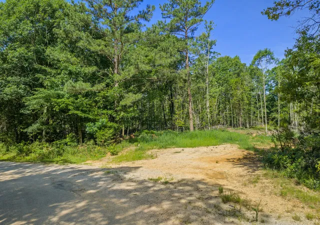 Homes for sale in Holladay, TN | 0 Rockport Mcillwain Rd, Holladay, TN 38341 | MLS# 3244681