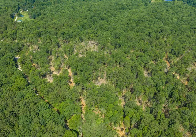 Homes for sale in Holladay, TN | 0 Rockport Mcillwain Rd, Holladay, TN 38341 | MLS# 3244681