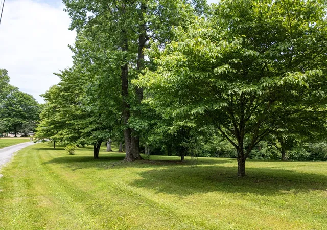 Homes for sale in Silver Point, TN | 1 Lafever Ridge Rd, Silver Point, TN 38582 | MLS# 3255993