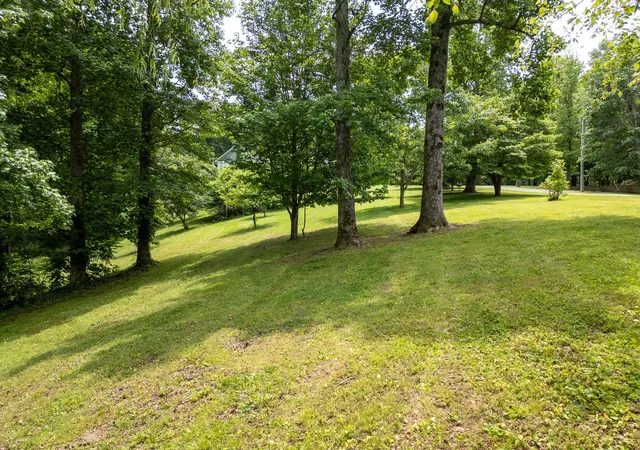 Homes for sale in Silver Point, TN | 1 Lafever Ridge Rd, Silver Point, TN 38582 | MLS# 3255993