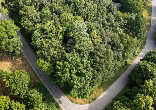 7th image of 1215 Brentwood Ln, Brentwood, TN 37027 | MLS# 3244734