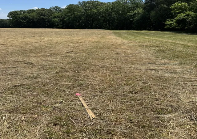 2nd image of 0 Horseshoe Rd, Cross Plains, TN 37049 | MLS# 3244851