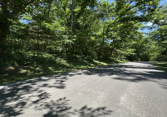 3rd image of 0 Horseshoe Rd, Cross Plains, TN 37049 | MLS# 3244851