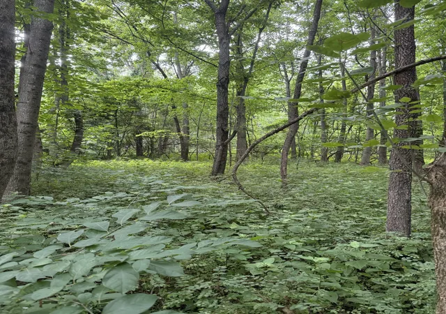 5th image of 0 Horseshoe Rd, Cross Plains, TN 37049 | MLS# 3244851