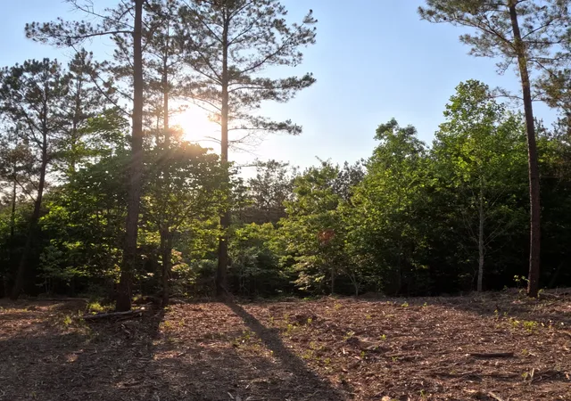 Photo 1 of Land for sale at 1882 Hillbrook Dr, Linden, TN 37096 | MLS# 3244859 | Listing updated on 2026-06-18