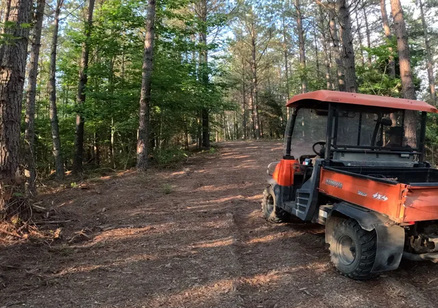 Photo 2 of Land for sale at 1882 Hillbrook Dr, Linden, TN 37096 | MLS# 3244859 | Listing updated on 2026-06-18