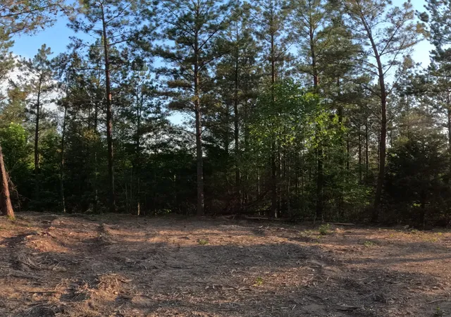 Photo 3 of Land for sale at 1882 Hillbrook Dr, Linden, TN 37096 | MLS# 3244859 | Listing updated on 2026-06-18