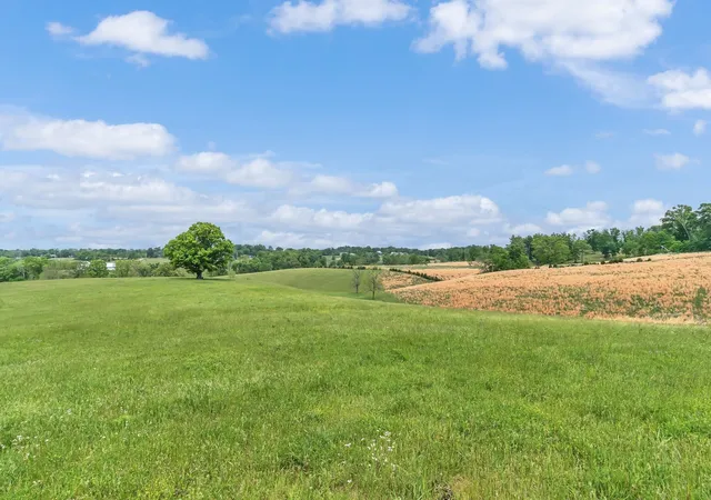 5th image of 1528 Fairfield Rd, Westmoreland, TN 37186 | MLS# 3245024
