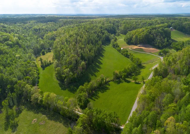 Homes for sale in Hampshire, TN | 4805 Love Branch Rd, Hampshire, TN 38461 | MLS# 3245130