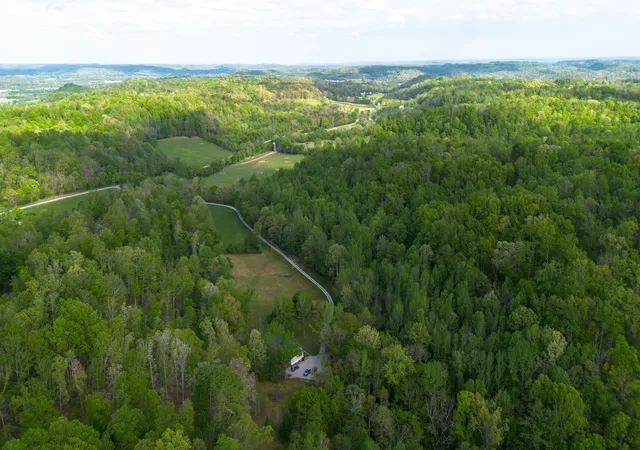 Homes for sale in Hampshire, TN | 4805 Love Branch Rd, Hampshire, TN 38461 | MLS# 3245130