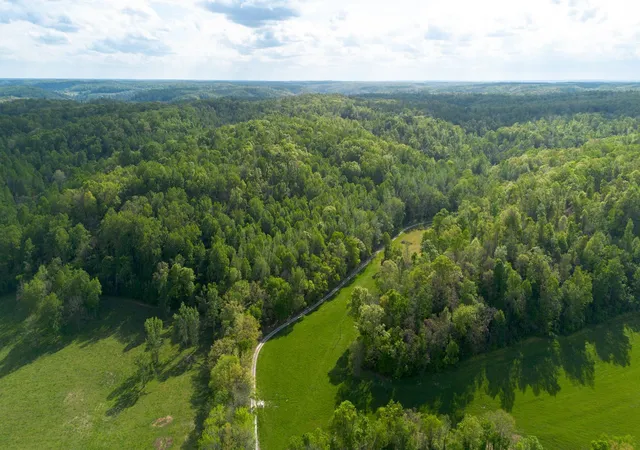 Homes for sale in Hampshire, TN | 4805 Love Branch Rd, Hampshire, TN 38461 | MLS# 3245130