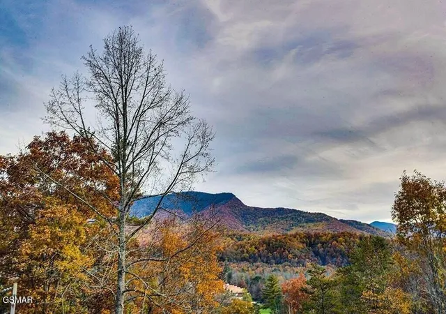 42nd image of 3709 Eagle Lane, Gatlinburg, TN 37738 | MLS# 3523783