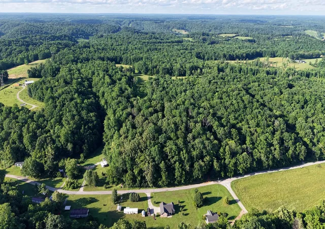 Homes for sale in Lawrenceburg, TN | 0 Gimlet Creek Road, Lawrenceburg, TN 38464 | MLS# 3245422