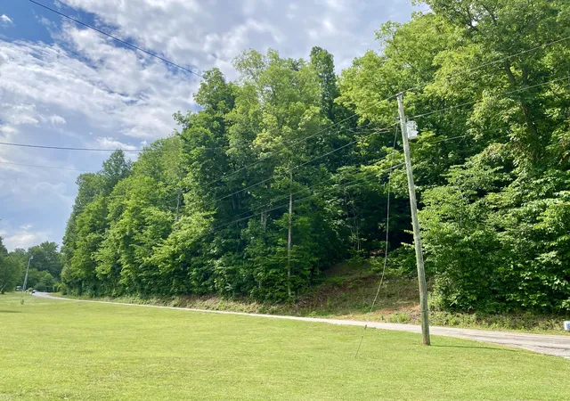 Homes for sale in Lawrenceburg, TN | 0 Gimlet Creek Road, Lawrenceburg, TN 38464 | MLS# 3245422