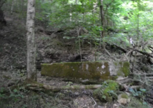 5th image of 425 Baugh Hollow Ln, Gainesboro, TN 38562 | MLS# 3246080